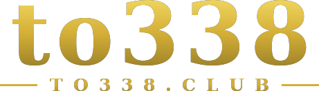 to338 logo